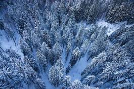Naklejka krajobraz śnieg natura