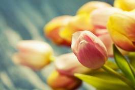 Naklejka miłość tulipan bukiet kwiat