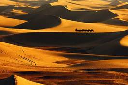 Plakat lato chiny arabian pustynia arabski