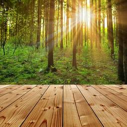 Plakat las bezdroża słońce