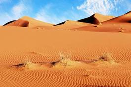 Naklejka wydma afryka pustynia