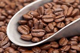 Naklejka natura aromaterapia kawa napój