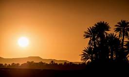 Plakat słońce noc pustynia świt