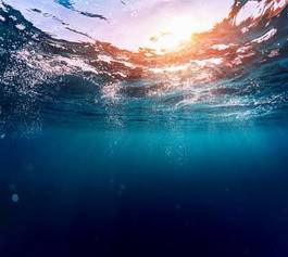 Plakat tropikalny podwodne słońce