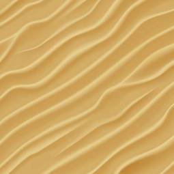 Obraz na płótnie piękny plaża wydma tropikalny