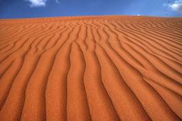 Plakat natura pustynia wydma panoramiczny wzór