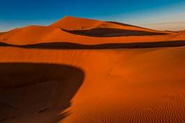 Plakat safari pustynia pejzaż wydma