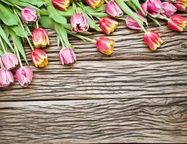 Naklejka vintage tulipan kwiat retro