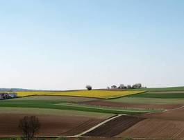 Obraz na płótnie traktor pole krajobraz rolnictwo droga