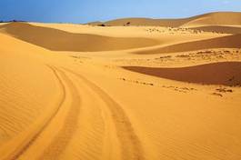 Obraz na płótnie lato pustynia pejzaż