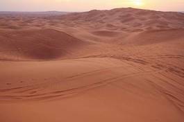 Naklejka pejzaż pustynia fala arabian