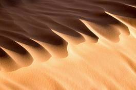 Obraz na płótnie close up of a sand dune, desert of sahara, south tunisia