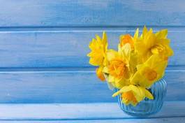 Plakat background with fresh narcissus