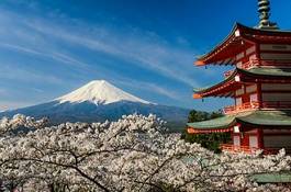 Plakat mount fuji with pagoda and cherry trees, japan