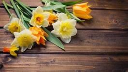 Plakat background with fresh tulips and narcissus