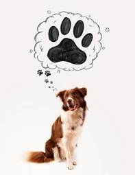 Plakat wzór zwierzę ładny pies brązowy