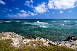 Plakat plaża słońce karaiby piękny wybrzeże
