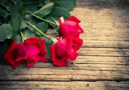 Obraz na płótnie ogród kwiat miłość lato bukiet