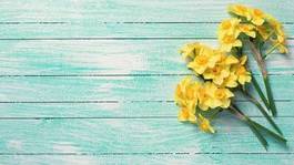Plakat background with fresh  yellow narcissus