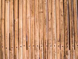 Obraz na płótnie wzór bambus drzewa azja ogród
