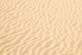 Obraz na płótnie pustynia żółty tekstura piasek