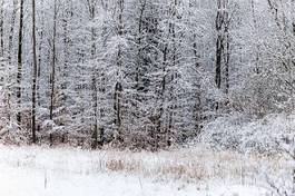 Fototapeta lód wioska krajobraz śnieg pole