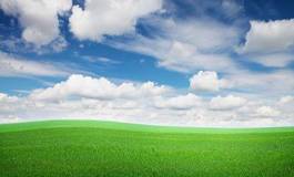 Obraz na płótnie natura pole wieś niebo