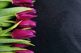 Obraz na płótnie piękny tulipan bukiet
