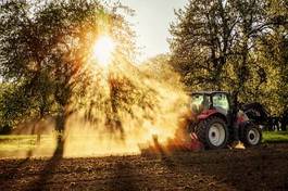 Plakat traktor drzewa wiejski maszyna rolnicza