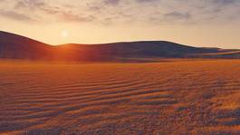 Plakat natura pustynia świt afryka 3d