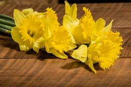Plakat yellow daffodil flowers on the table