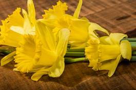 Plakat yellow daffodil flowers on the table