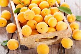 Naklejka fresh apricots