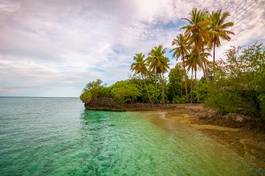 Plakat drzewa tropikalny egzotyczny plaża wyspa