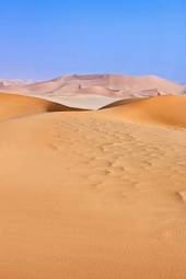 Plakat natura wydma afryka pustynia