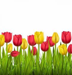 Plakat wieś kwiat tulipan