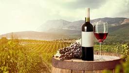 Plakat wine, vineyard, glass.