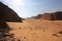 Naklejka canyon in desert