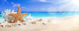 Plakat karaiby rozgwiazda brzeg morze koral