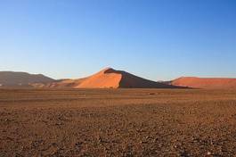 Obraz na płótnie wydma krzew pejzaż pustynia niebo