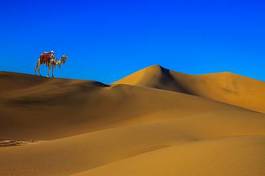 Naklejka wydma transport natura bezdroża pustynia