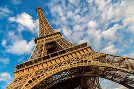 Naklejka trawa europa wieża francja