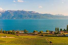 Obraz na płótnie szwajcaria góra rolnictwo niebo krajobraz