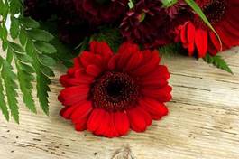 Fotoroleta bukiet kwiat czerwony drewno tło