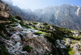 Fotoroleta piękny alpy krajobraz