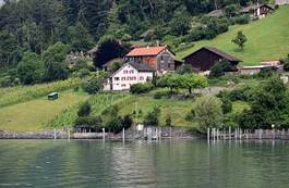 Plakat krajobraz winorośl woda szwajcaria