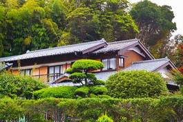 Obraz na płótnie wieś sosna japonia