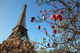 Fotoroleta eiffel tower in spring time, paris, france