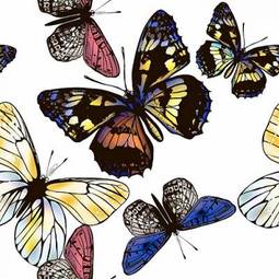 Plakat piękny retro moda motyl
