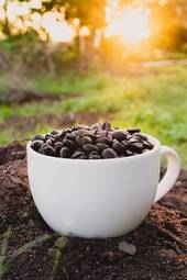 Naklejka natura cappucino wzór jedzenie kawa